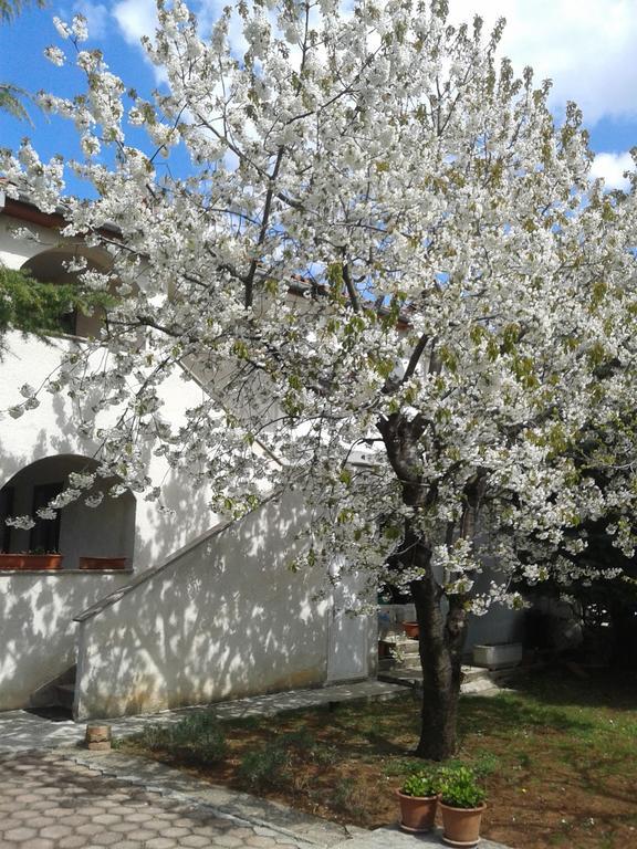 Apartments Porec Istria By Nina Экстерьер фото